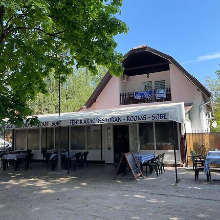 Feher Akac Guest House Palić Exteriér fotografie