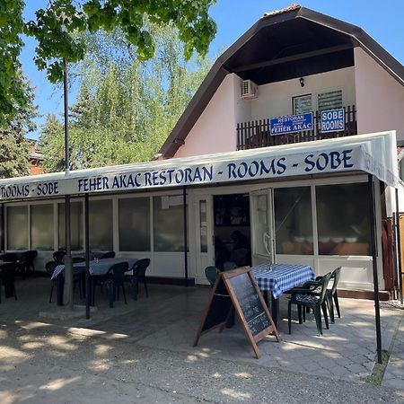 Feher Akac Guest House Palić Exteriér fotografie