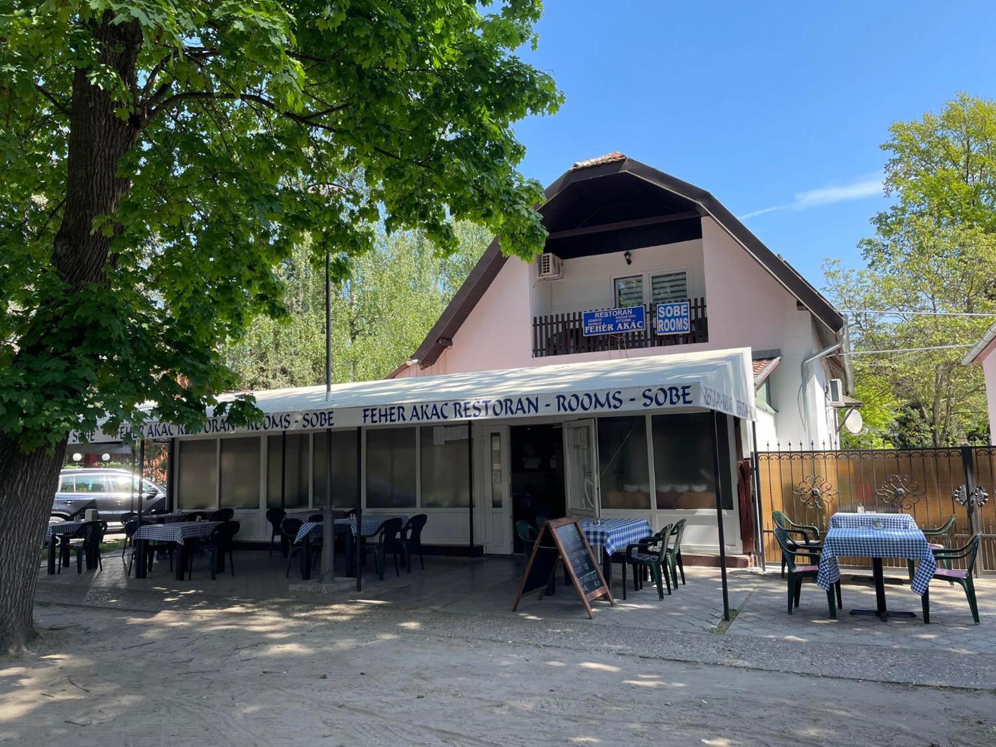 Feher Akac Guest House Palić Exteriér fotografie